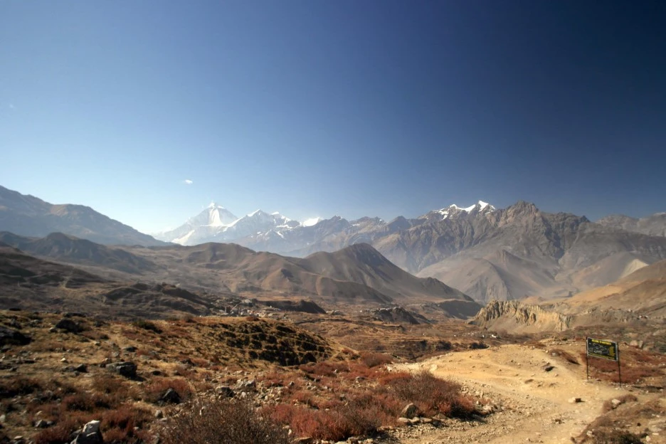 SE-d58d0995-1a28-42a1-bdbb-9f1f4e6f8e08.jpg?type=w1