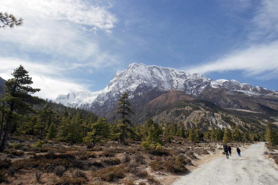 SE-5aa6e4bc-149f-4915-a5ca-f9e13fdea9cf.jpg?type=w1