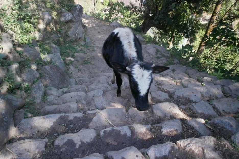 SAM_0337.JPG?type=w1