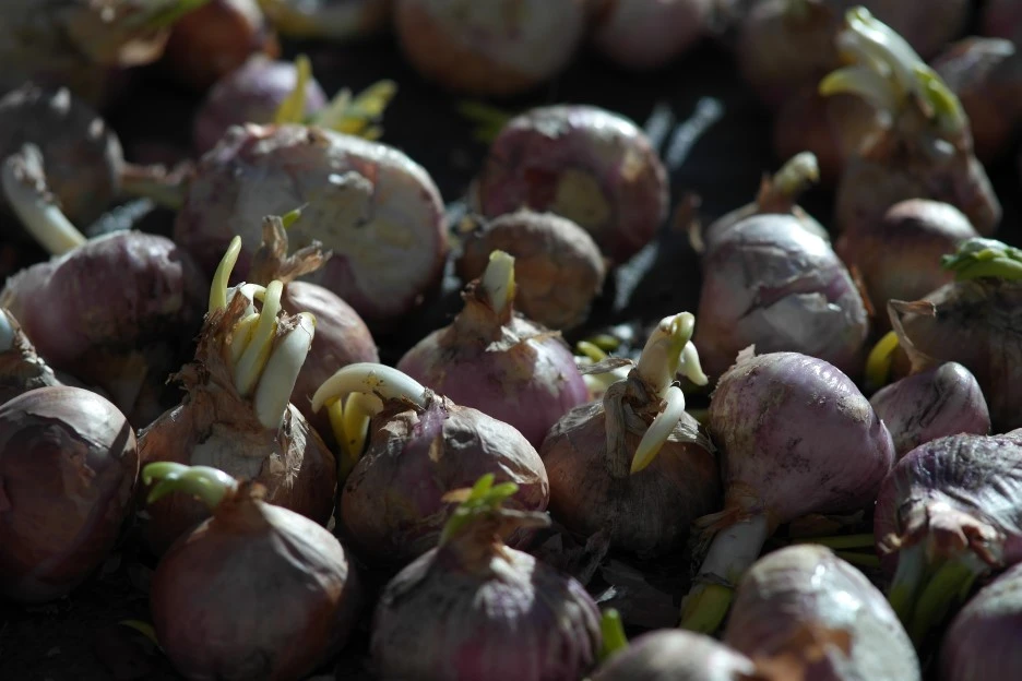 SAM_0789.JPG?type=w1