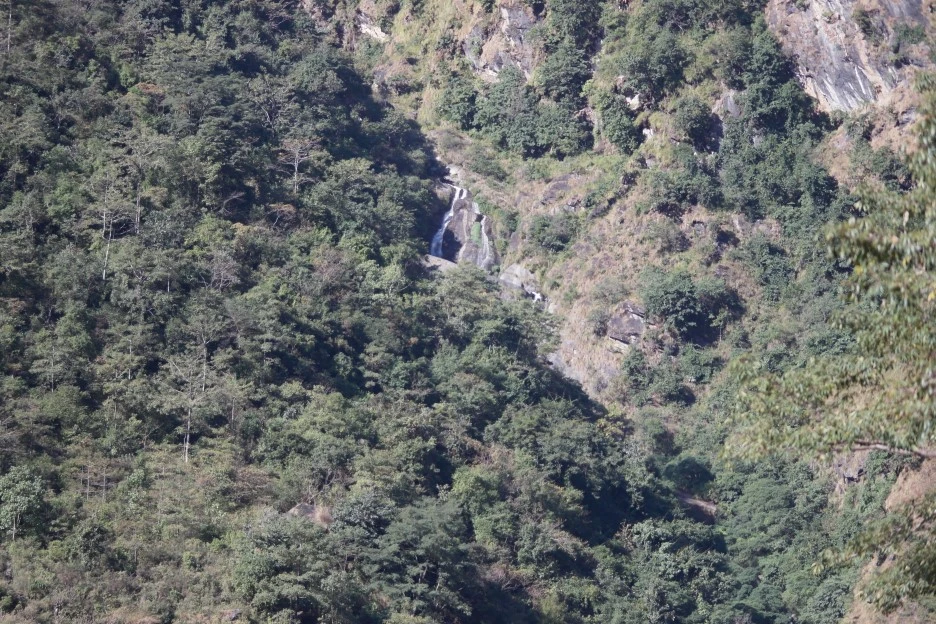 SAM_0311.JPG?type=w1