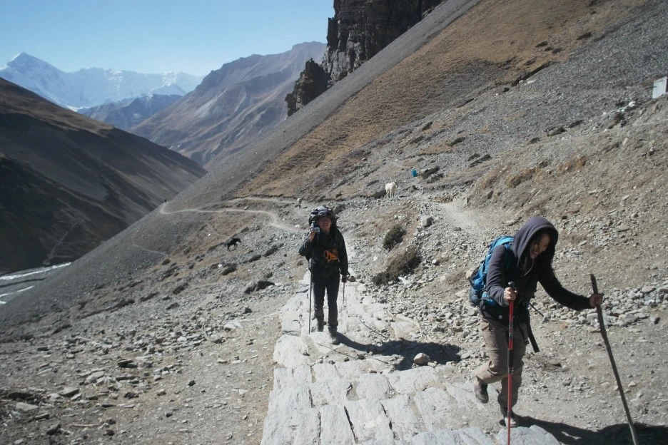 SAM_0956.JPG?type=w1