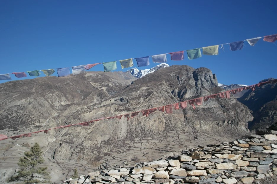 SAM_0713.JPG?type=w1