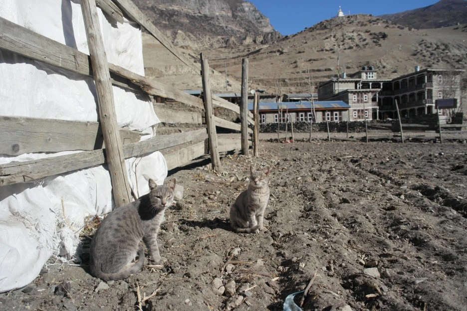 SAM_0774.JPG?type=w1