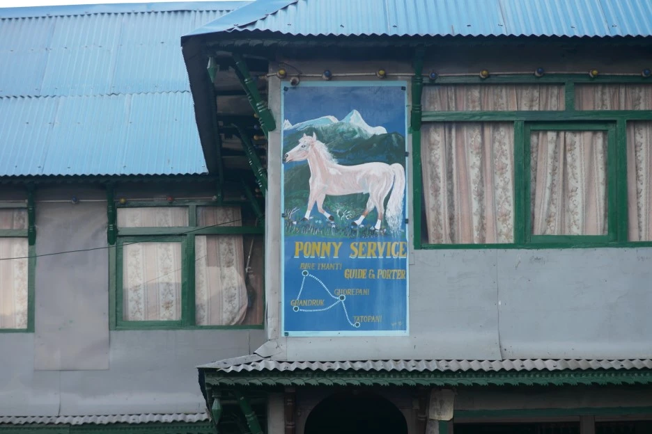 SAM_1271.JPG?type=w1