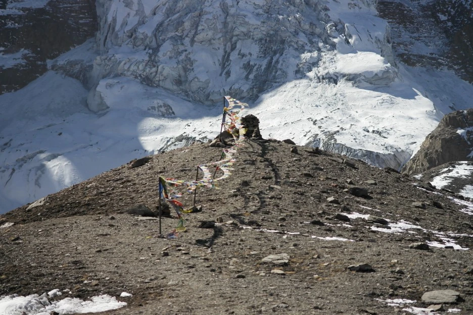 SAM_0836.JPG?type=w1