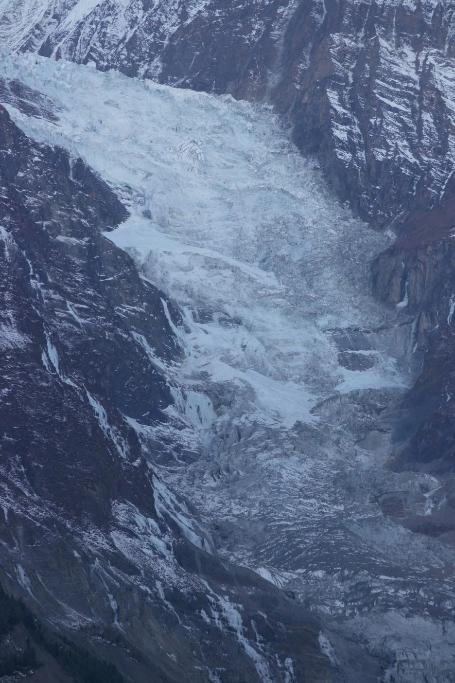 SAM_0683.JPG?type=w1