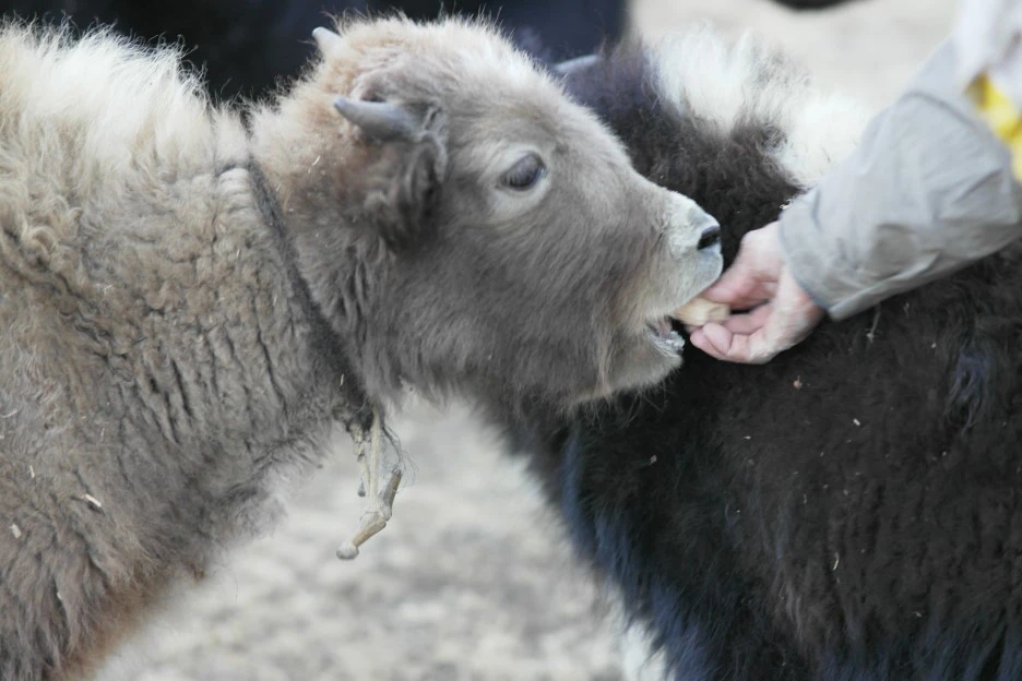 SAM_0901.JPG?type=w1