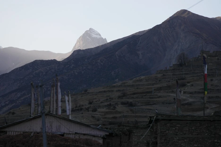 SAM_0668.JPG?type=w1