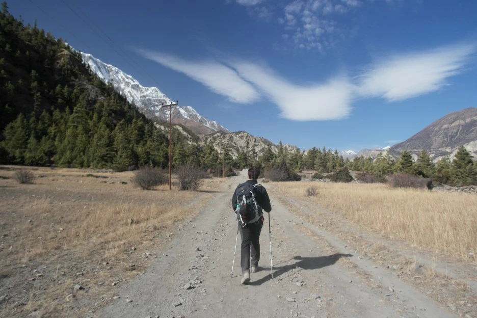 SAM_0628.JPG?type=w1