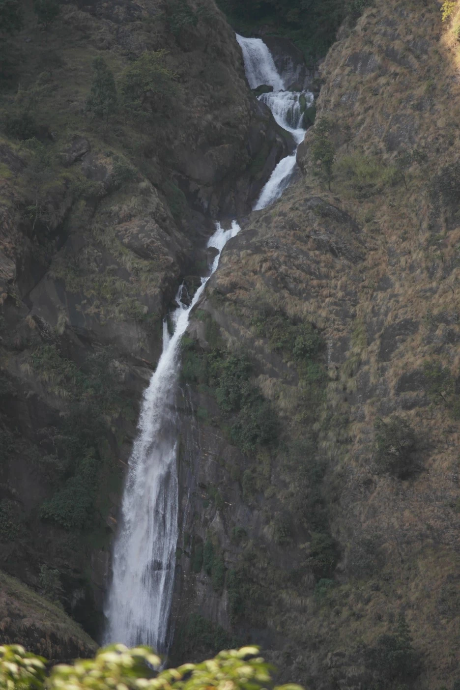 SAM_0353.JPG?type=w1