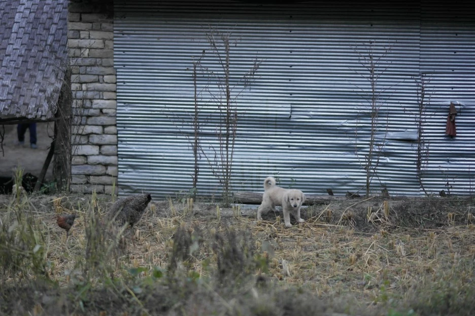 SAM_0292.JPG?type=w1