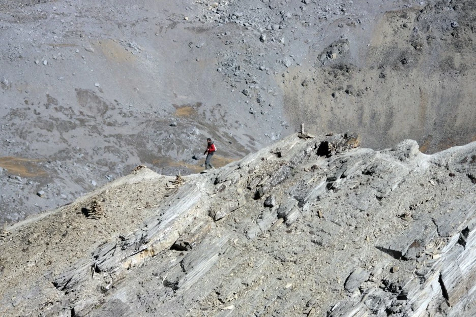 SE-b7f29d4b-7ab4-4f88-ae42-f48a0ac6f7d6.jpg?type=w1