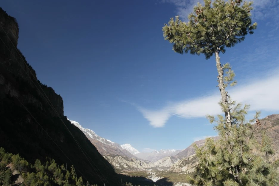 SAM_0617.JPG?type=w1