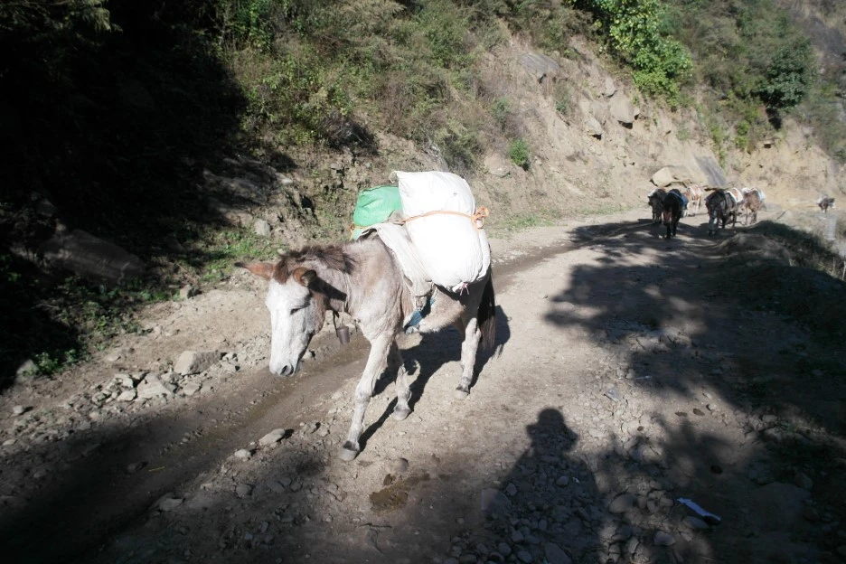 SAM_0379.JPG?type=w1