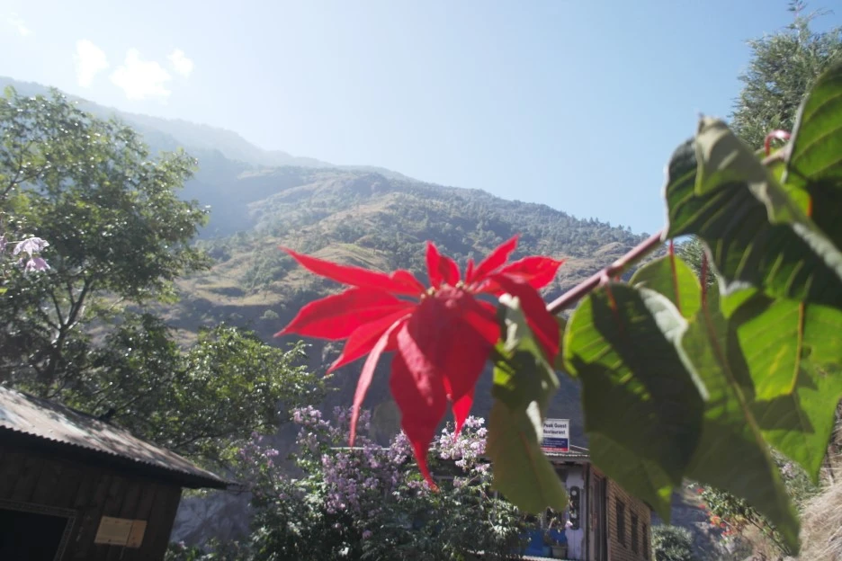 SAM_0393.JPG?type=w1