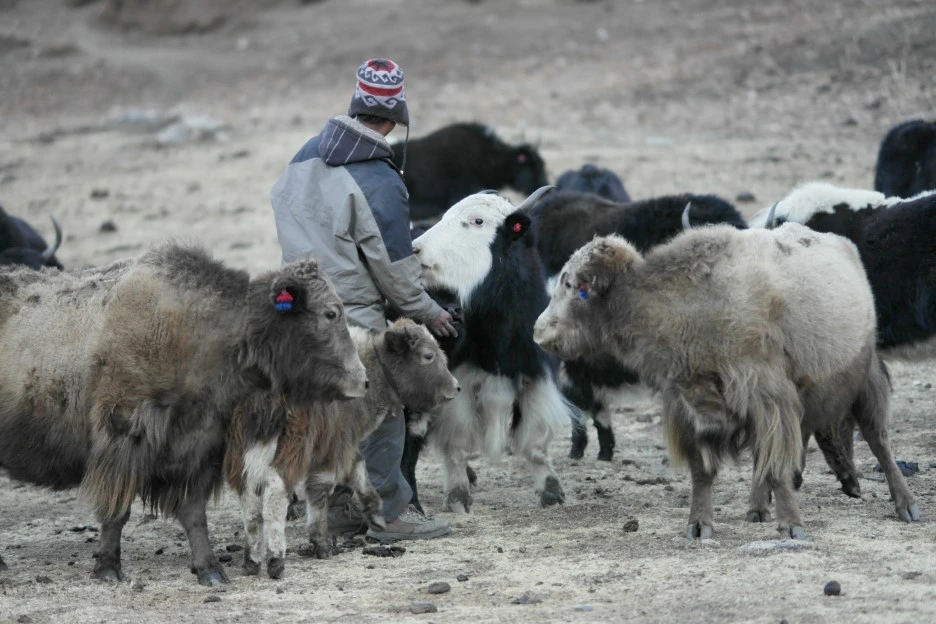 SAM_0920.JPG?type=w1