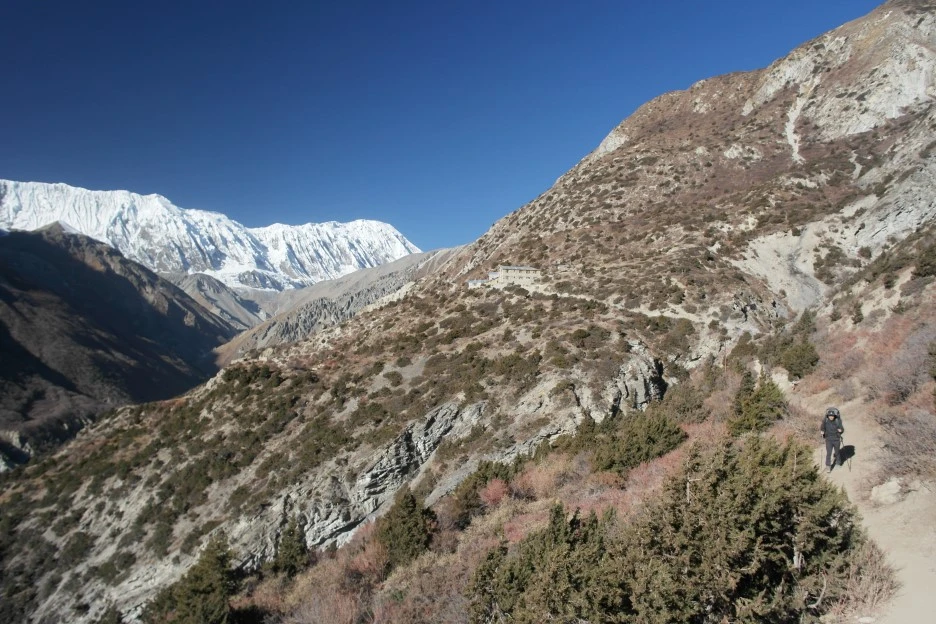 SAM_0858.JPG?type=w1