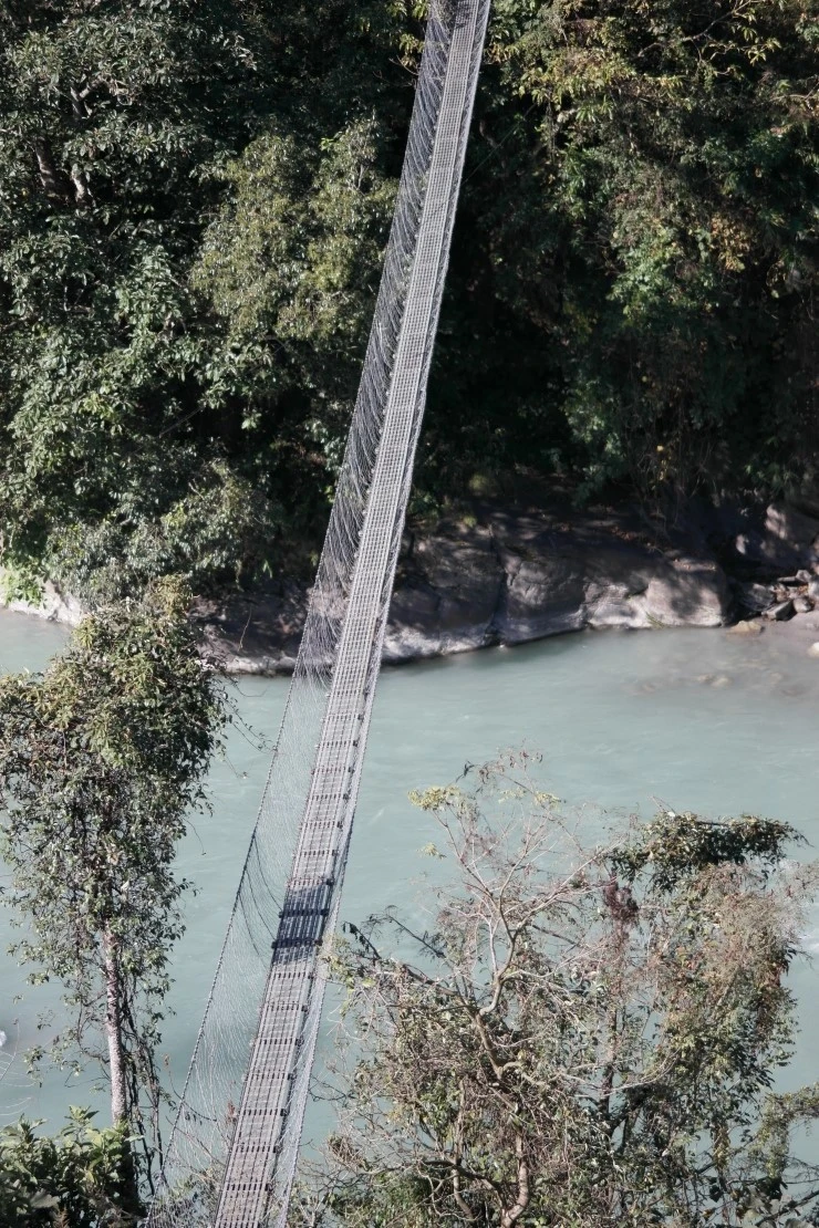 SAM_0310.JPG?type=w1