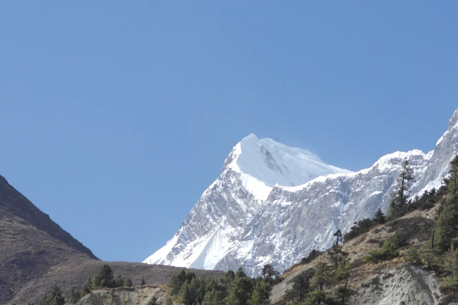 SAM_0643.JPG?type=w1