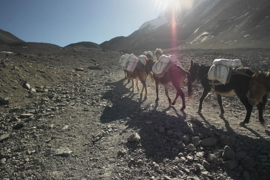 SAM_1097.JPG?type=w1