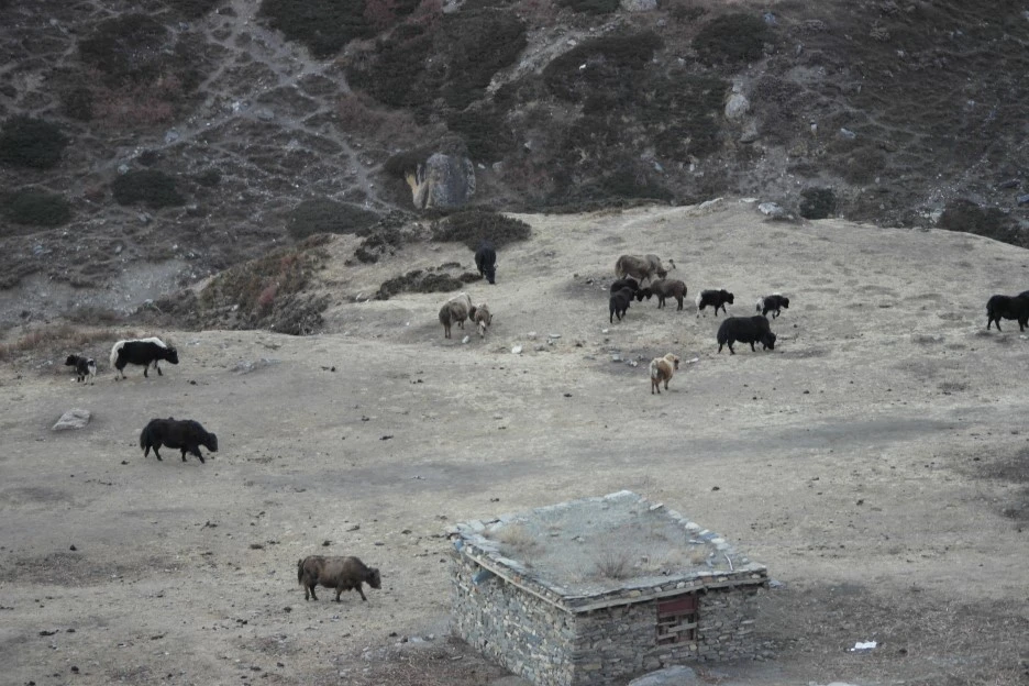 SAM_0898.JPG?type=w1