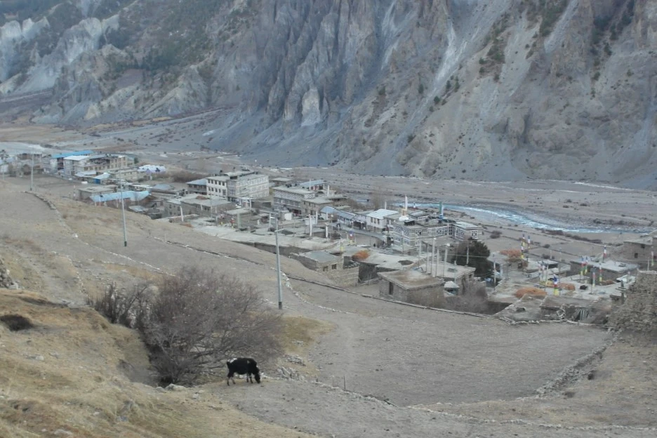 SAM_0675.JPG?type=w1