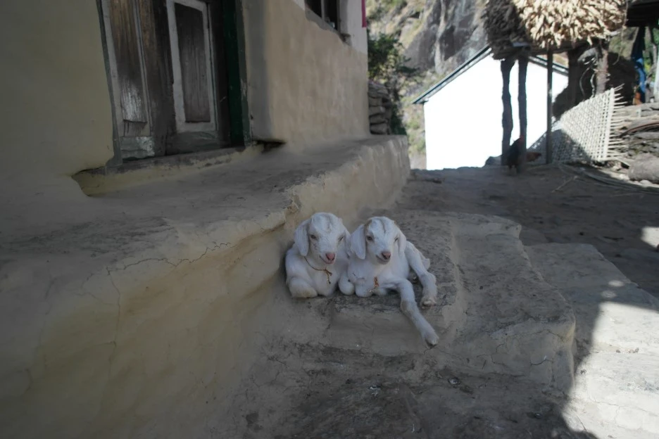 SAM_0338.JPG?type=w1