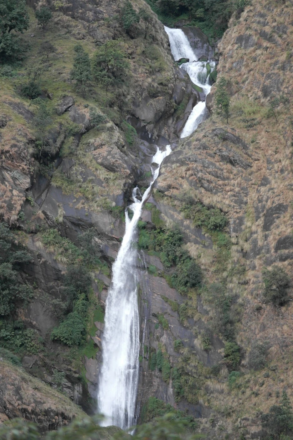 SAM_0361.JPG?type=w1