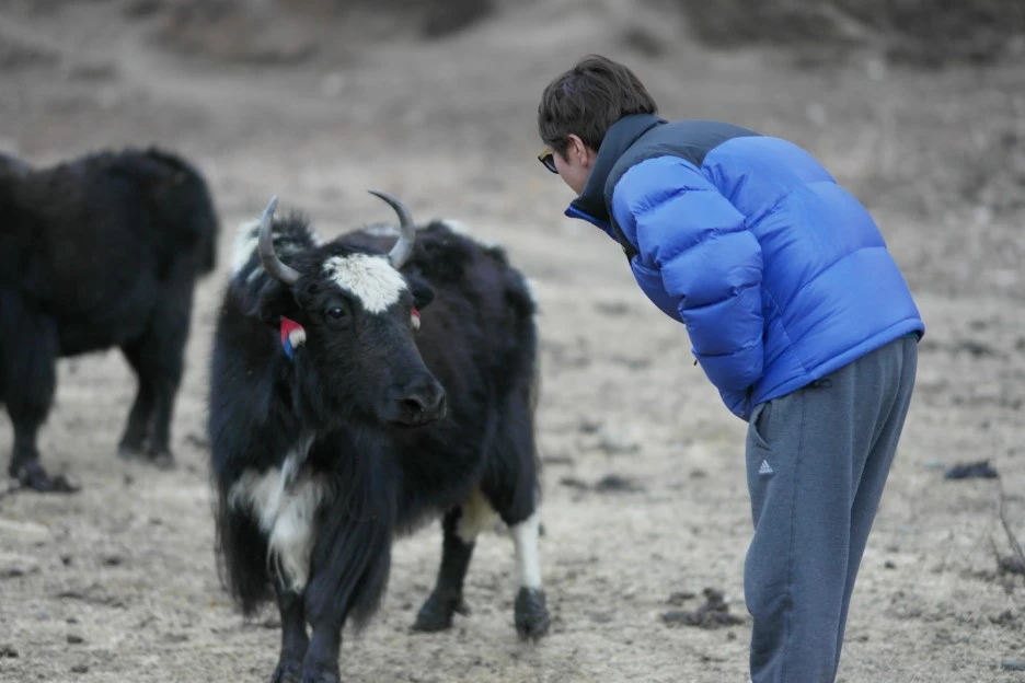 SAM_0908.JPG?type=w1