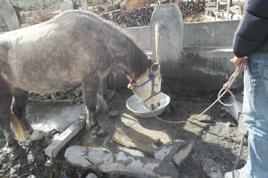 SAM_0647.JPG?type=w1