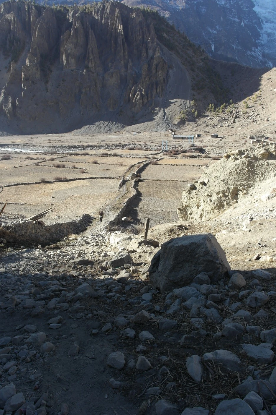 SAM_0698.JPG?type=w1