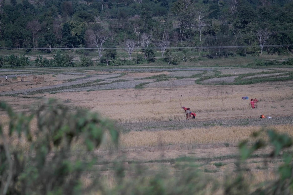 SAM_0273.JPG?type=w1