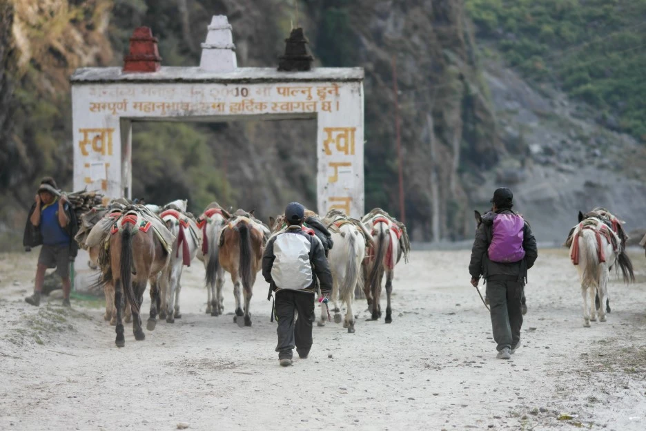 SAM_0424.JPG?type=w1