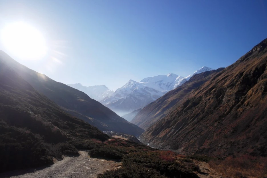 SE-927933a0-c554-4074-93a9-b113b6f5052f.jpg?type=w1