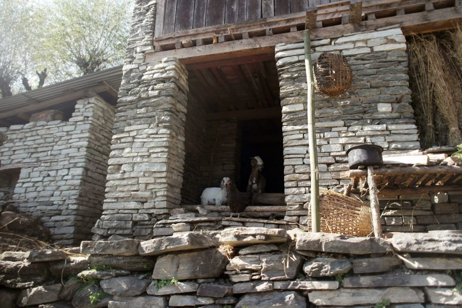 SE-fb2e0b7f-63c2-46a0-8a4b-c4522f6e656d.jpg?type=w1