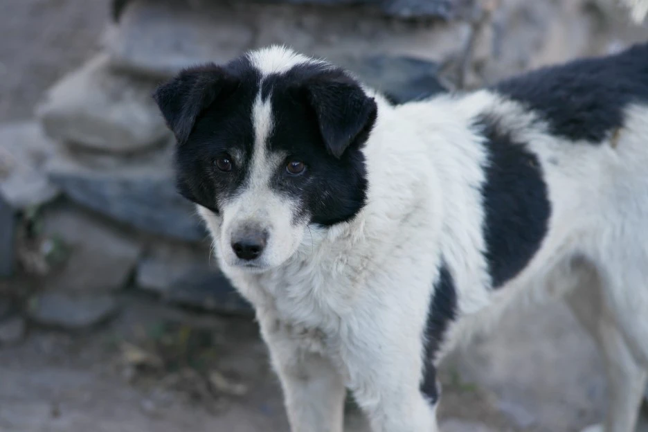 SAM_0661.JPG?type=w1