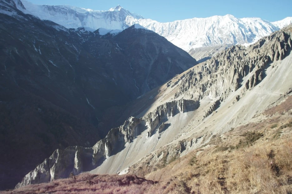 SAM_0814.JPG?type=w1