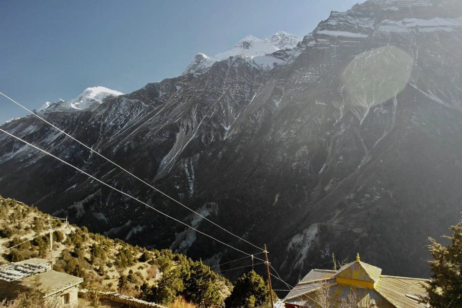 SAM_0782.jpeg?type=w1