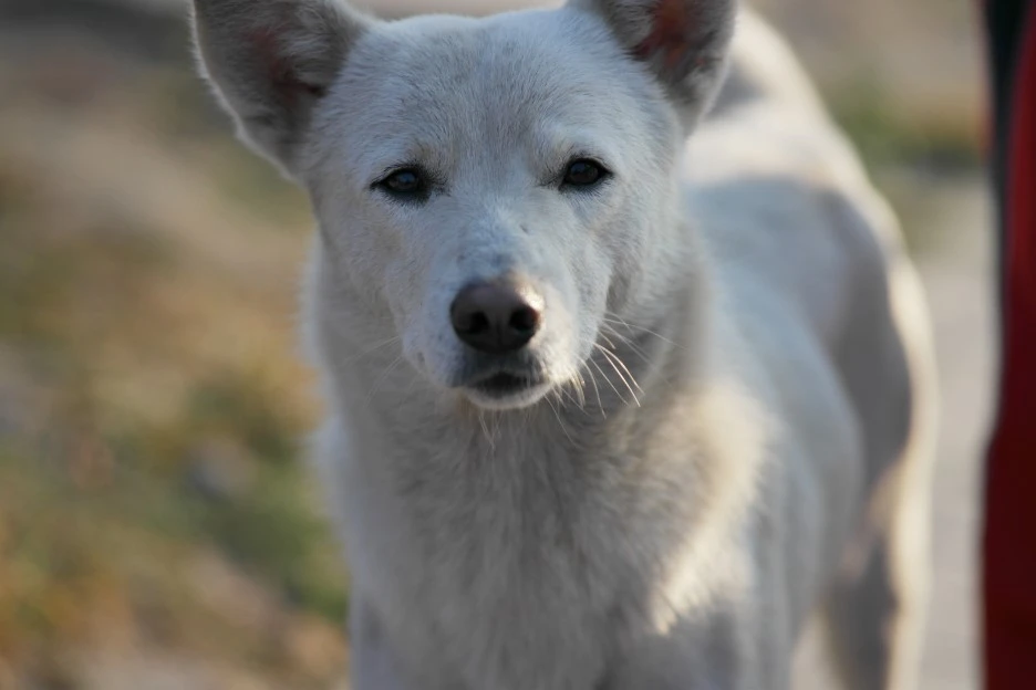 SAM_0242.JPG?type=w1