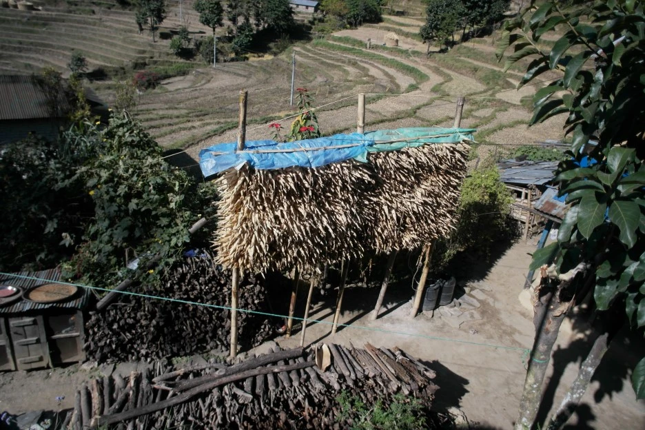 SAM_0319.JPG?type=w1