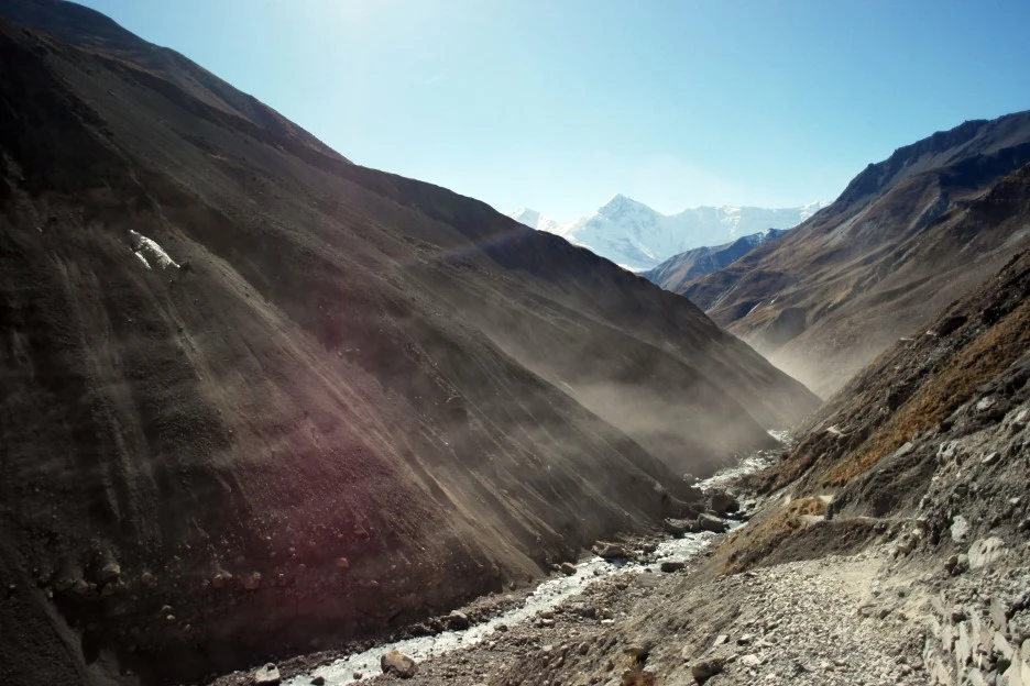 SE-d666c99f-2af8-4122-ae25-b6fdbc3bfe15.jpg?type=w1