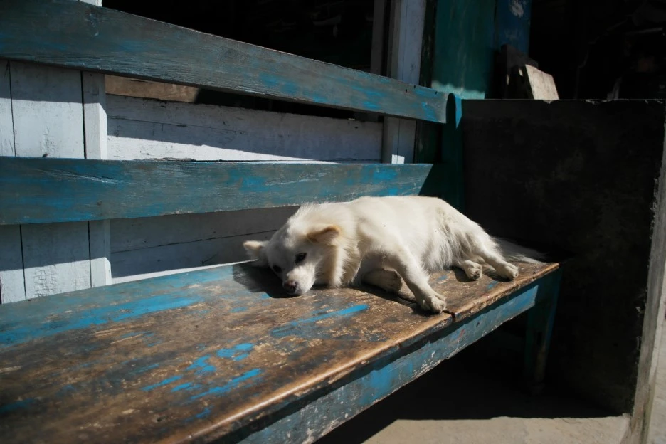 SAM_0326.JPG?type=w1