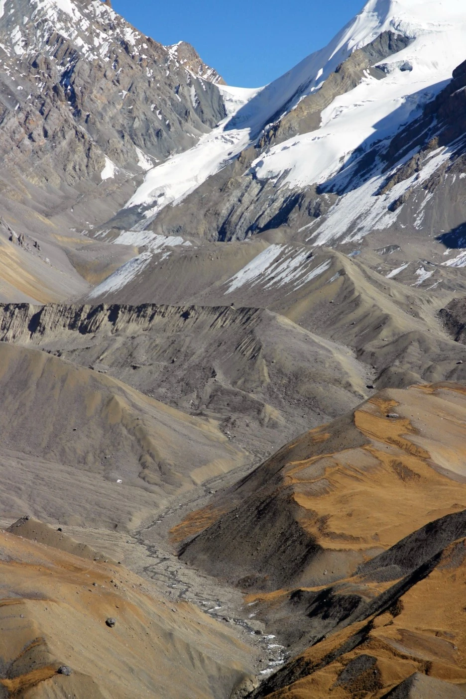 SE-5dd7b197-99fd-416a-ad25-79eae9150bd9.jpg?type=w1