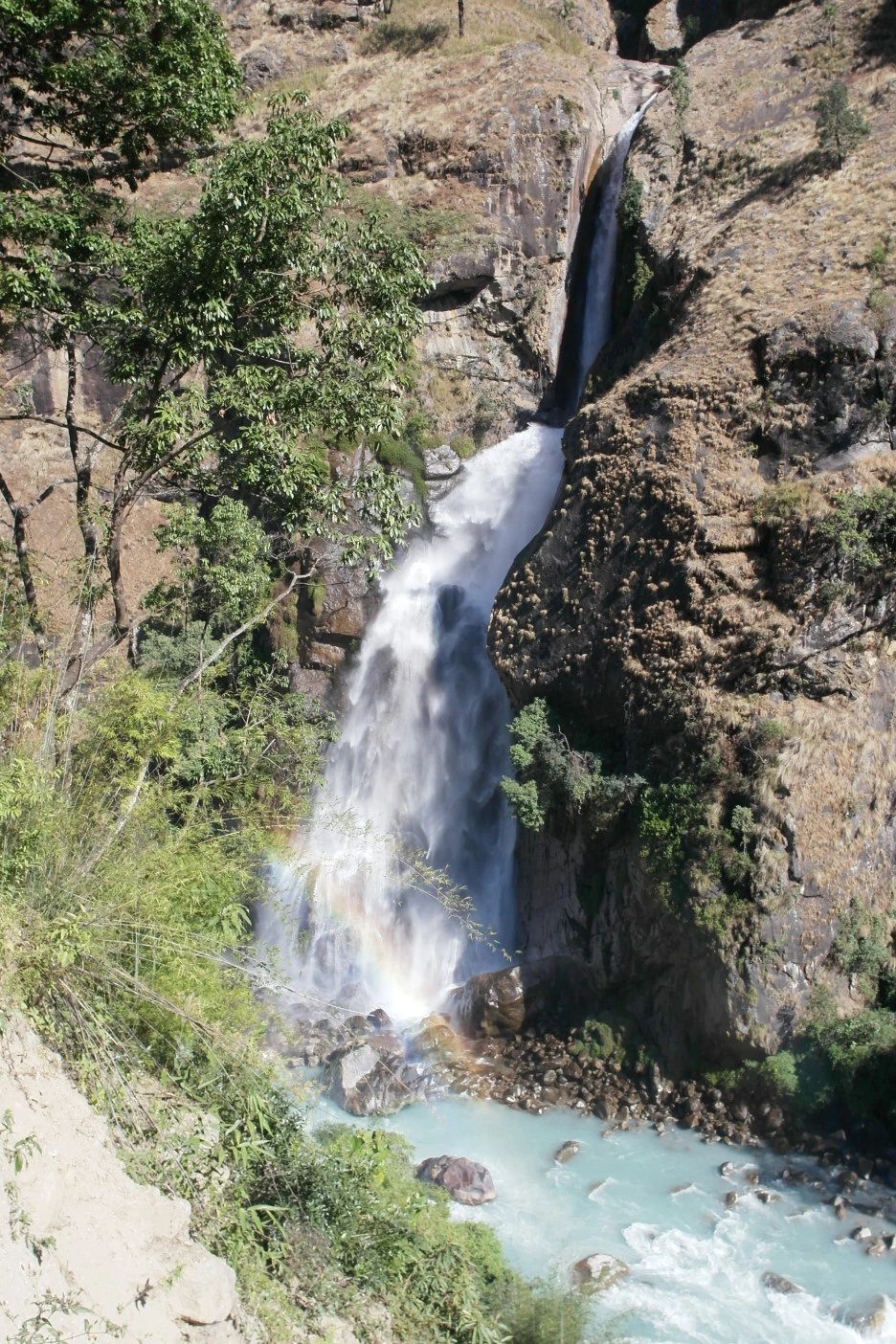 SAM_0382.JPG?type=w1