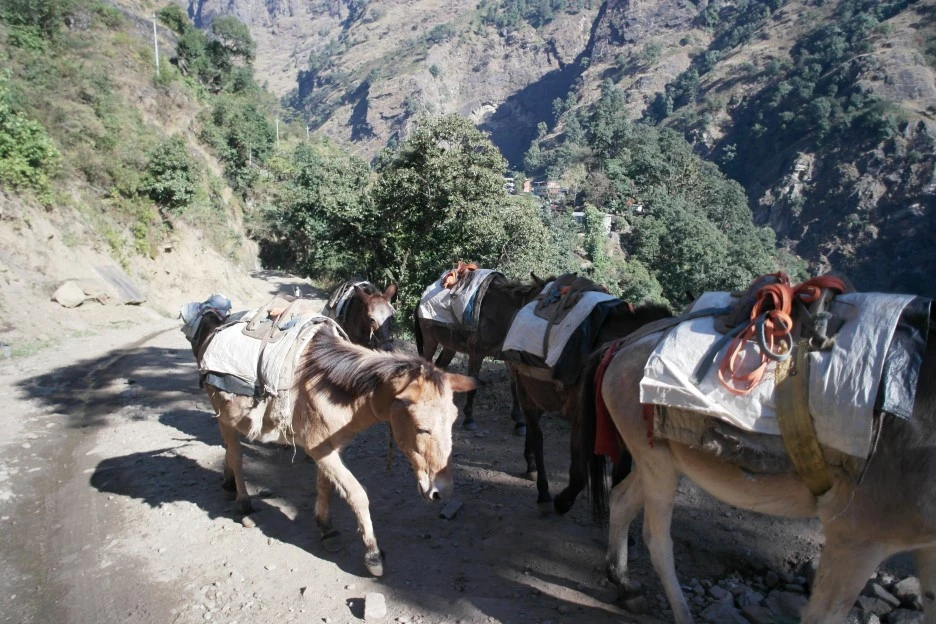 SAM_0380.JPG?type=w1