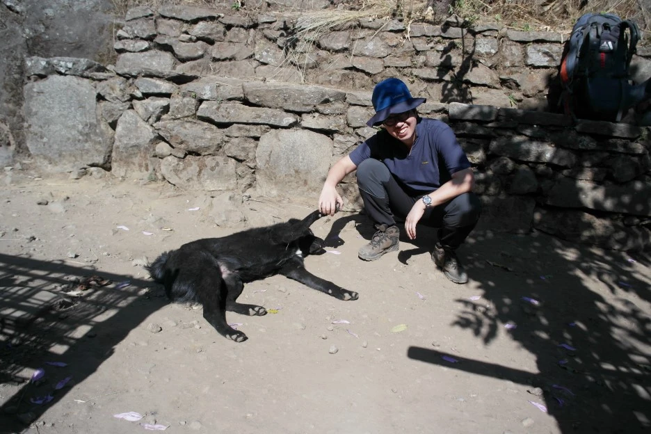 SAM_0396.JPG?type=w1