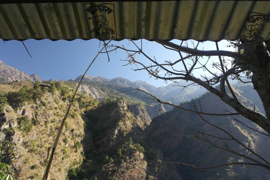 SAM_0375.JPG?type=w1