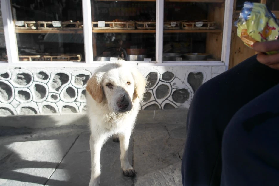 SAM_0767.JPG?type=w1