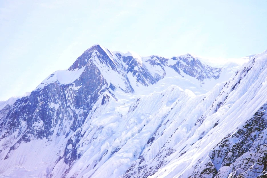 SE-73af5aba-11e1-4f46-8db9-95b87b12340e.jpg?type=w1